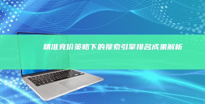 精准竞价策略下的搜索引擎排名成果解析